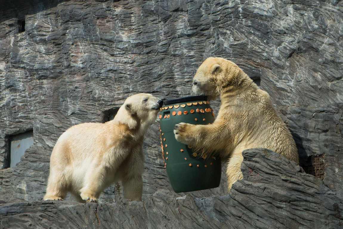 prague zoo photo 10