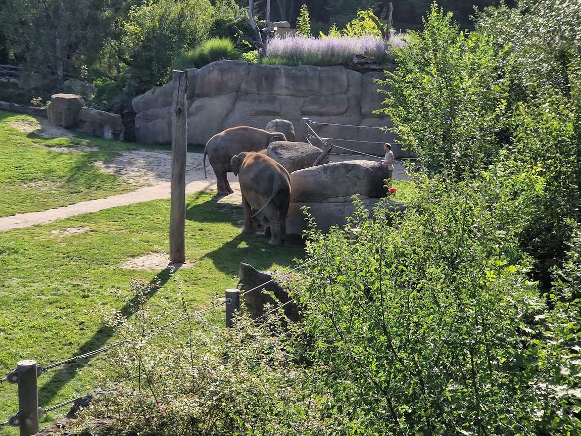 prague zoo photo 3