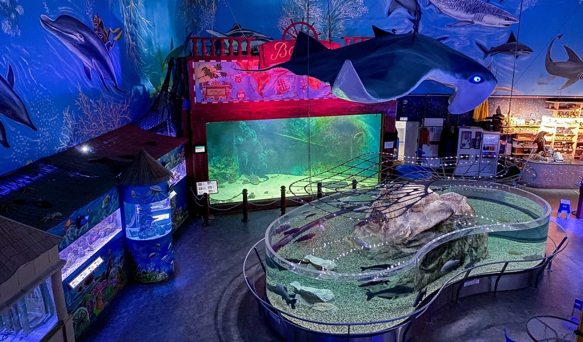 sea world photo 2