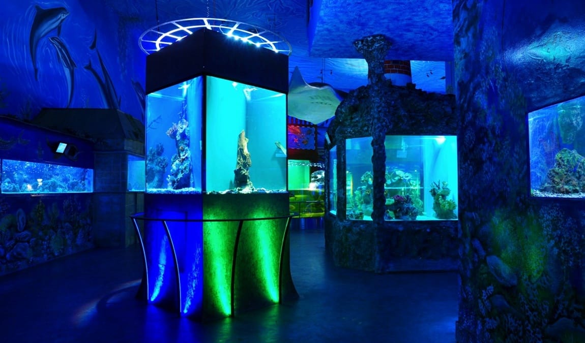 sea world photo 3