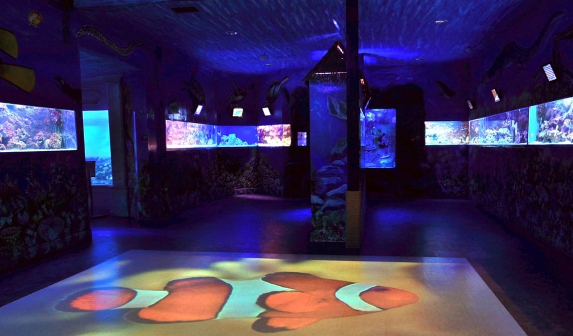 sea world photo 4