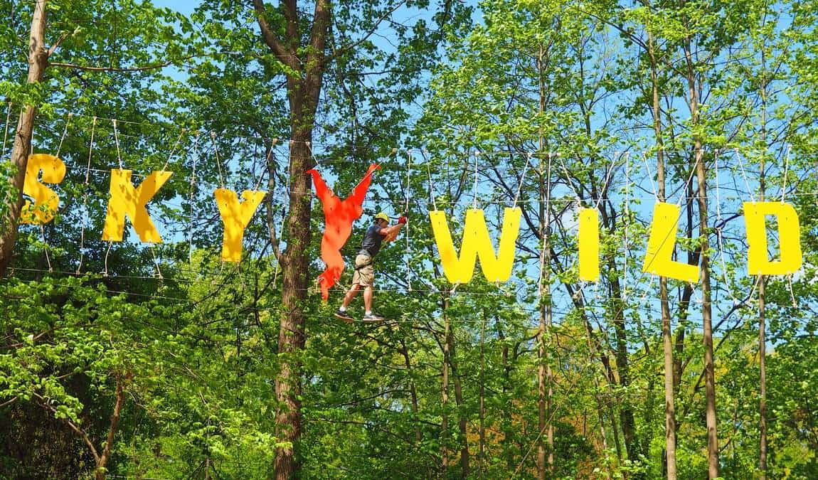 skywild photo 5