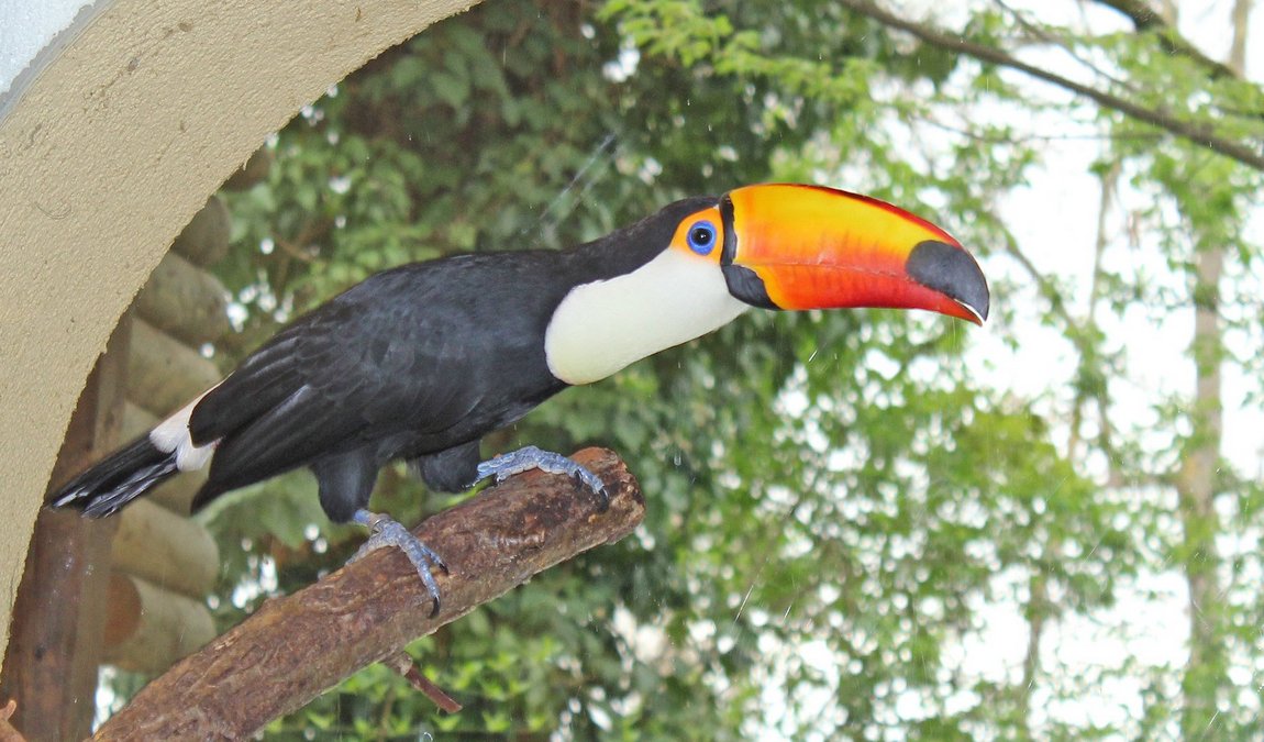 welldorado photo 5