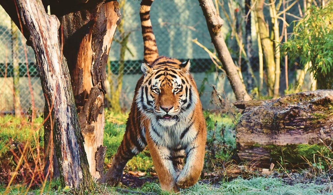 zoo liberec photo 2