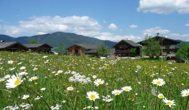 Kinderbauernhof Ederbauer Farm