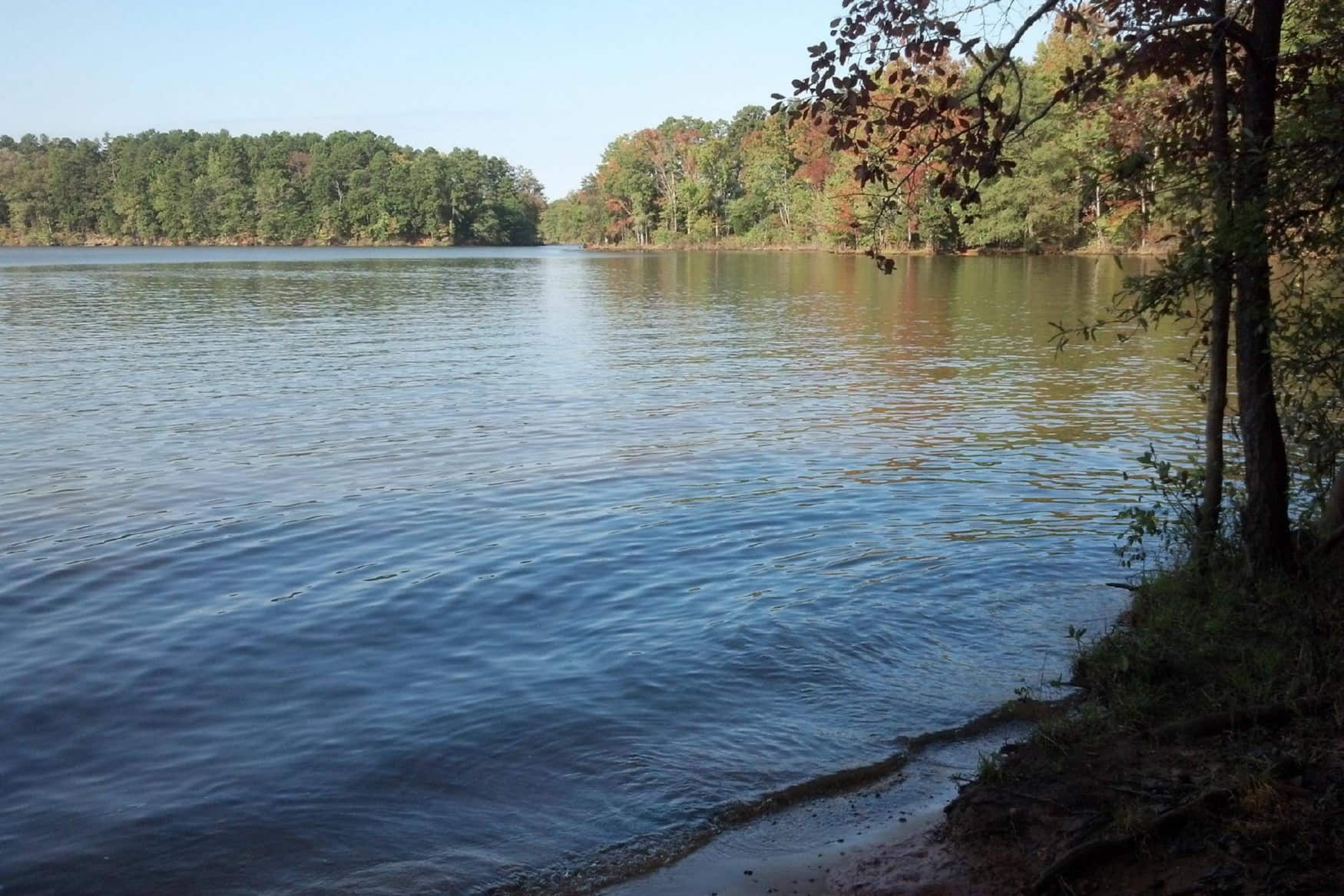 Latta Plantation Nature Center & Preserve photo 1