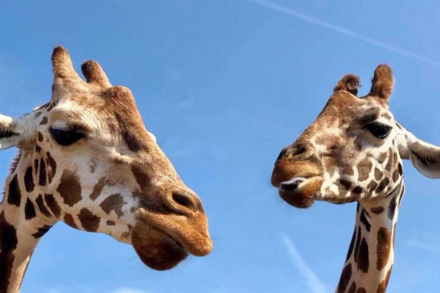 Lazy 5 Ranch photo 1