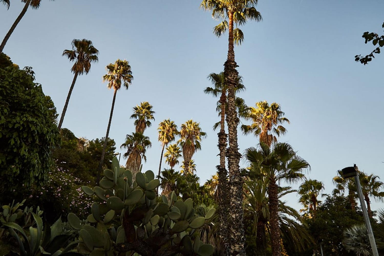 Mossen Costa i Llobera Gardens photo 1