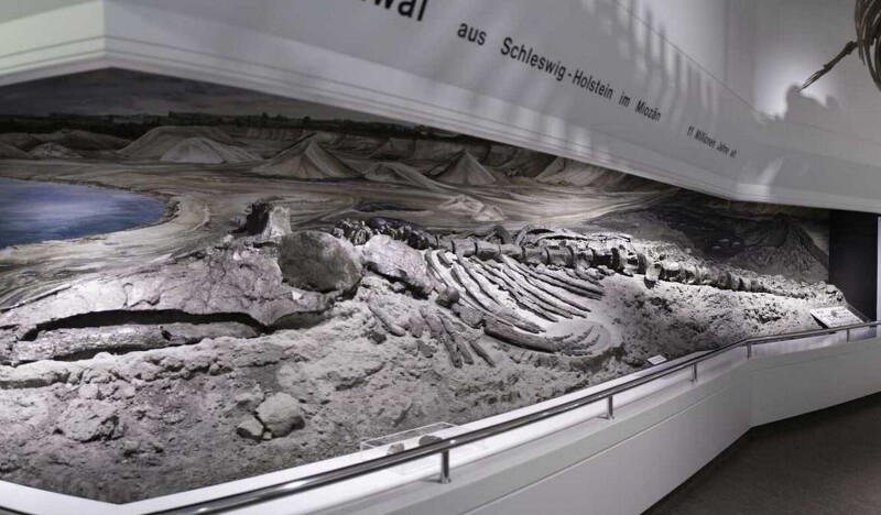 Museum of Nature and Environment