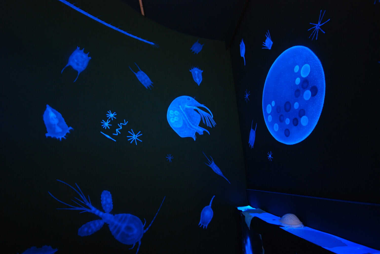 Museum of Nature and Environment photo 1