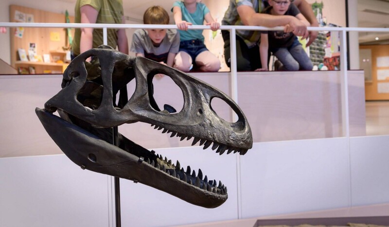 Museum am Schölerberg