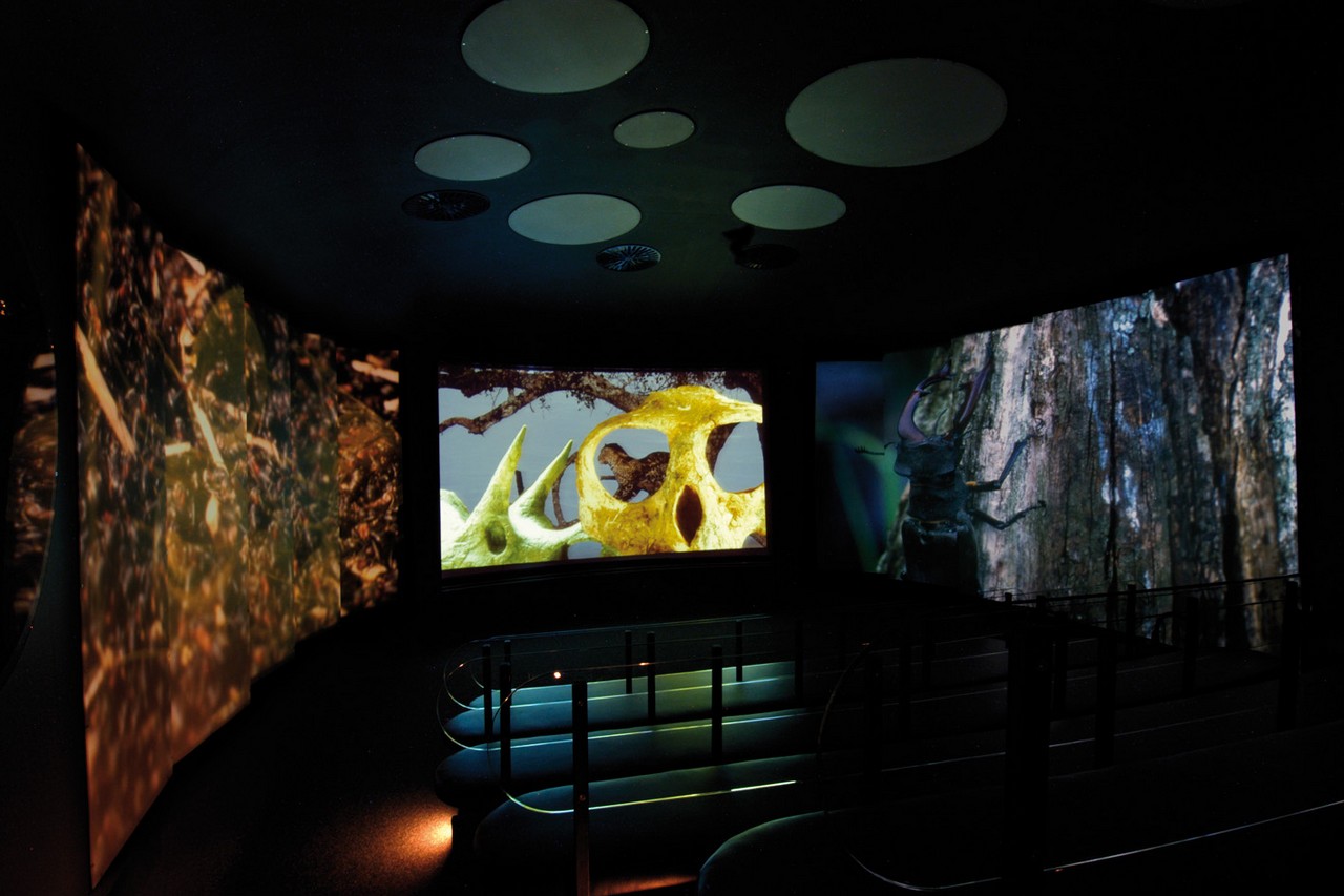 Natural History Museum photo 1