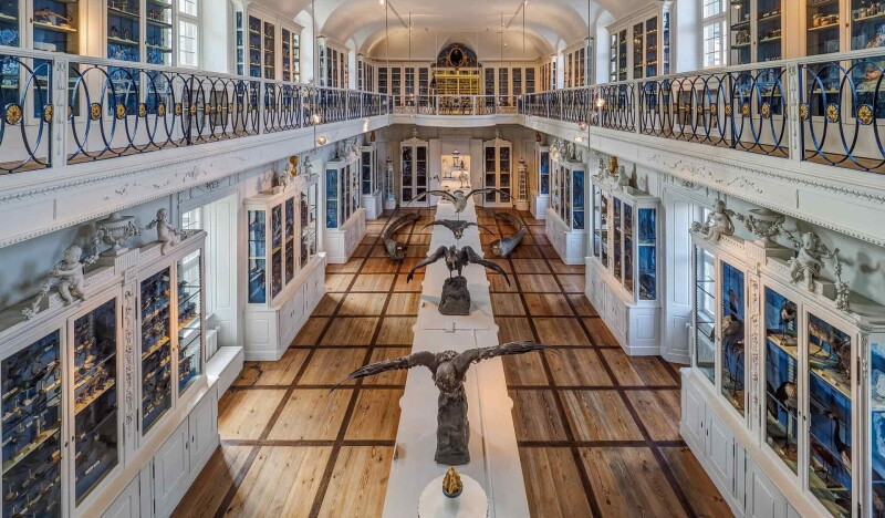 Natural History Museum