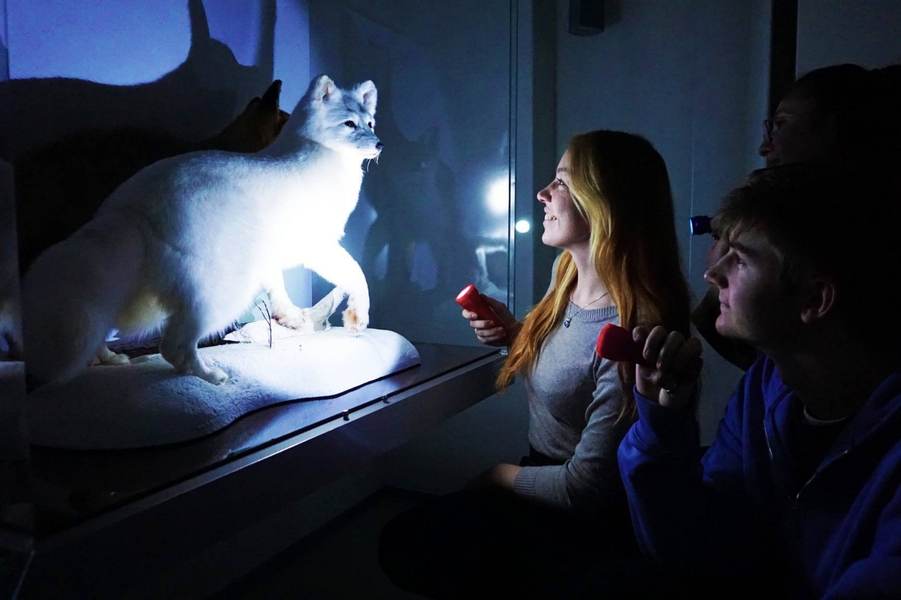 Natural History Museum photo 1