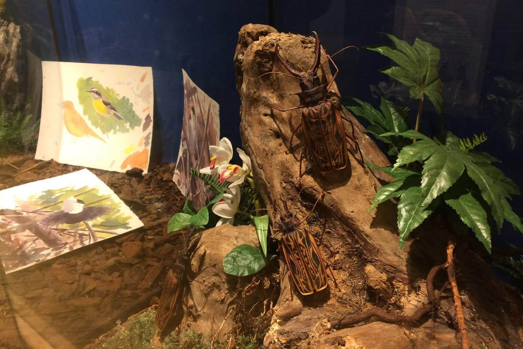 Naturmuseum Salzkammergut photo 1