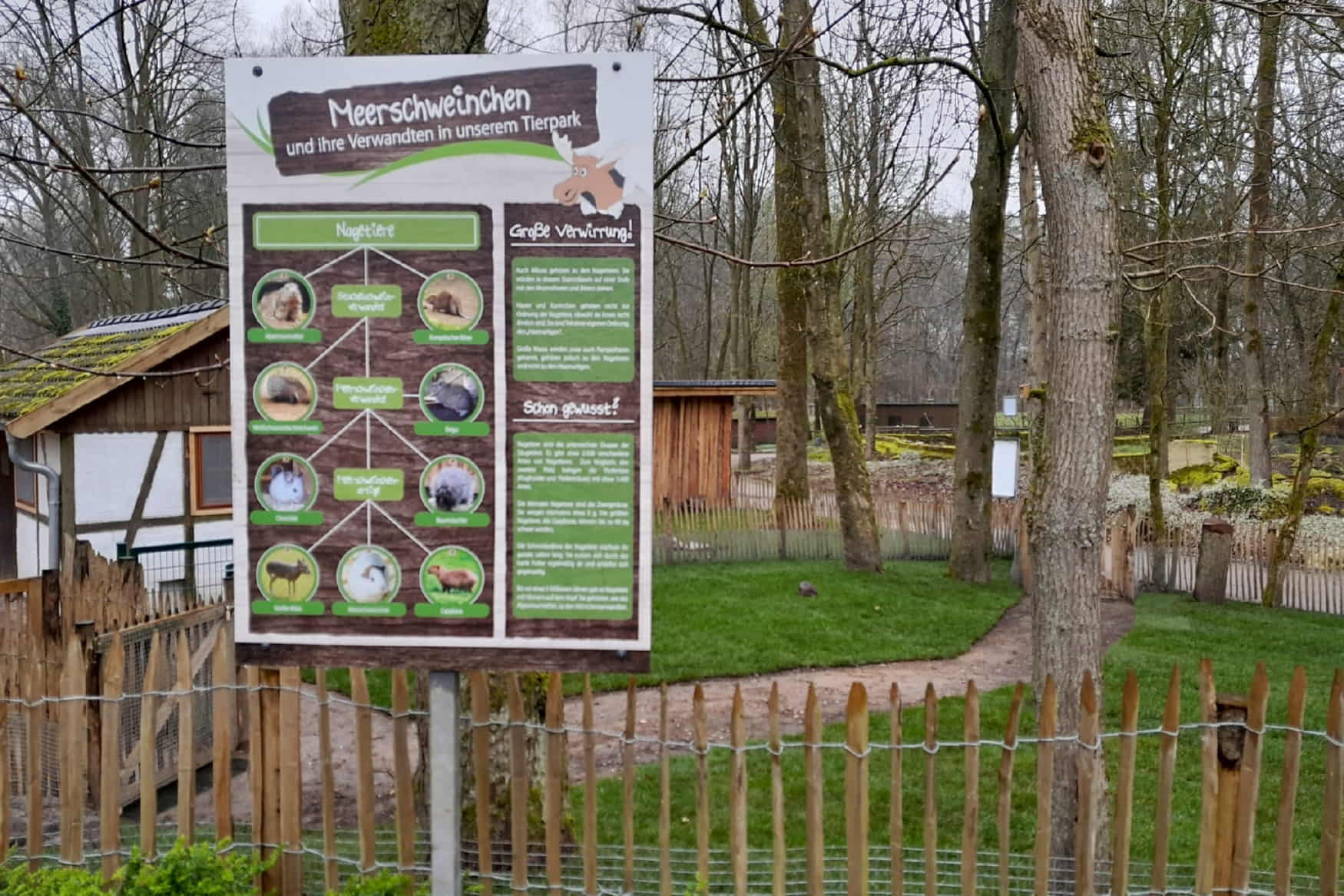 Neumünster Zoo photo 1