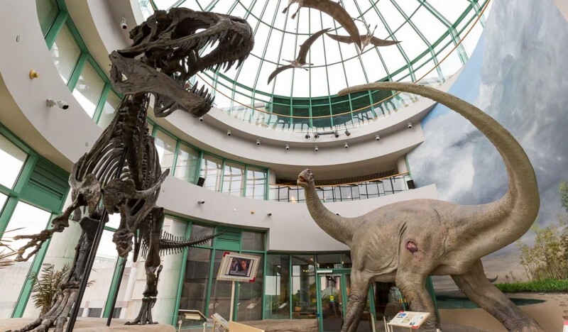 North Carolina Museum of Natural Sciences