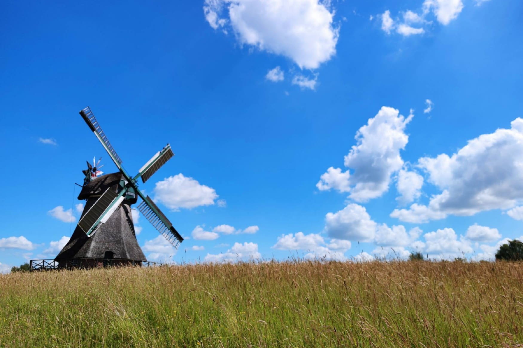 Open Air Museum Molfsee - State Museum of Ethnology photo 1
