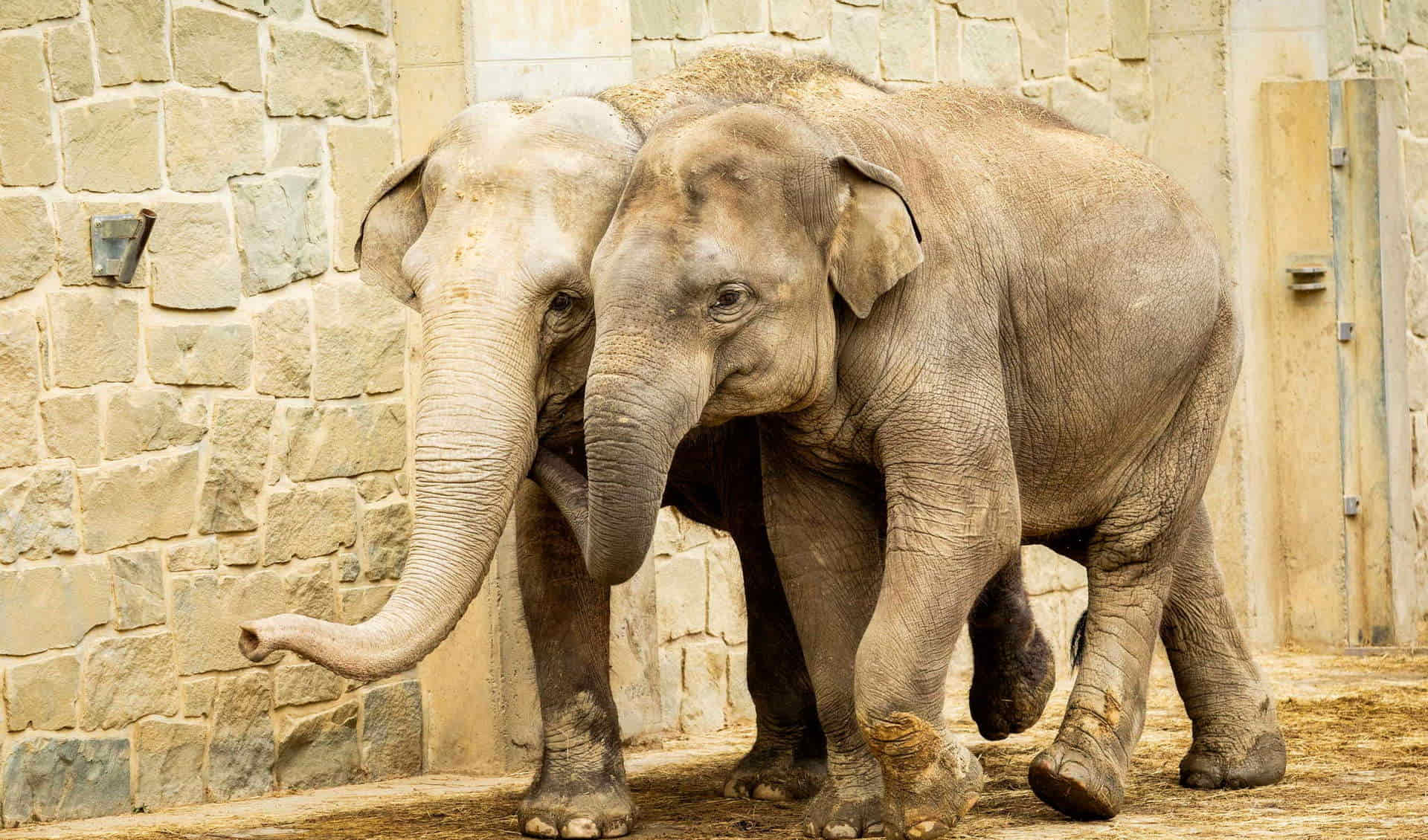 Ostrava Zoo