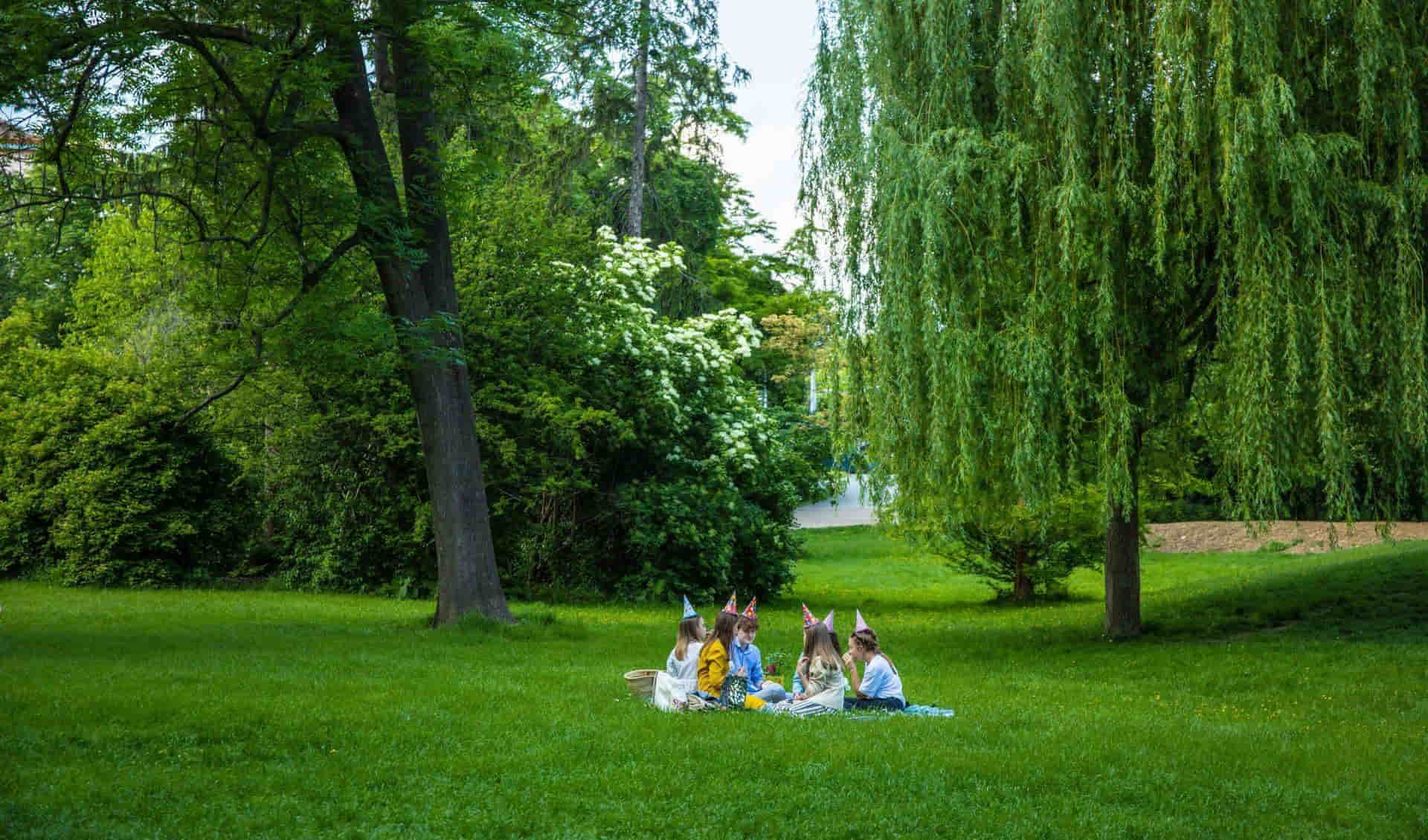 Park Luzanky
