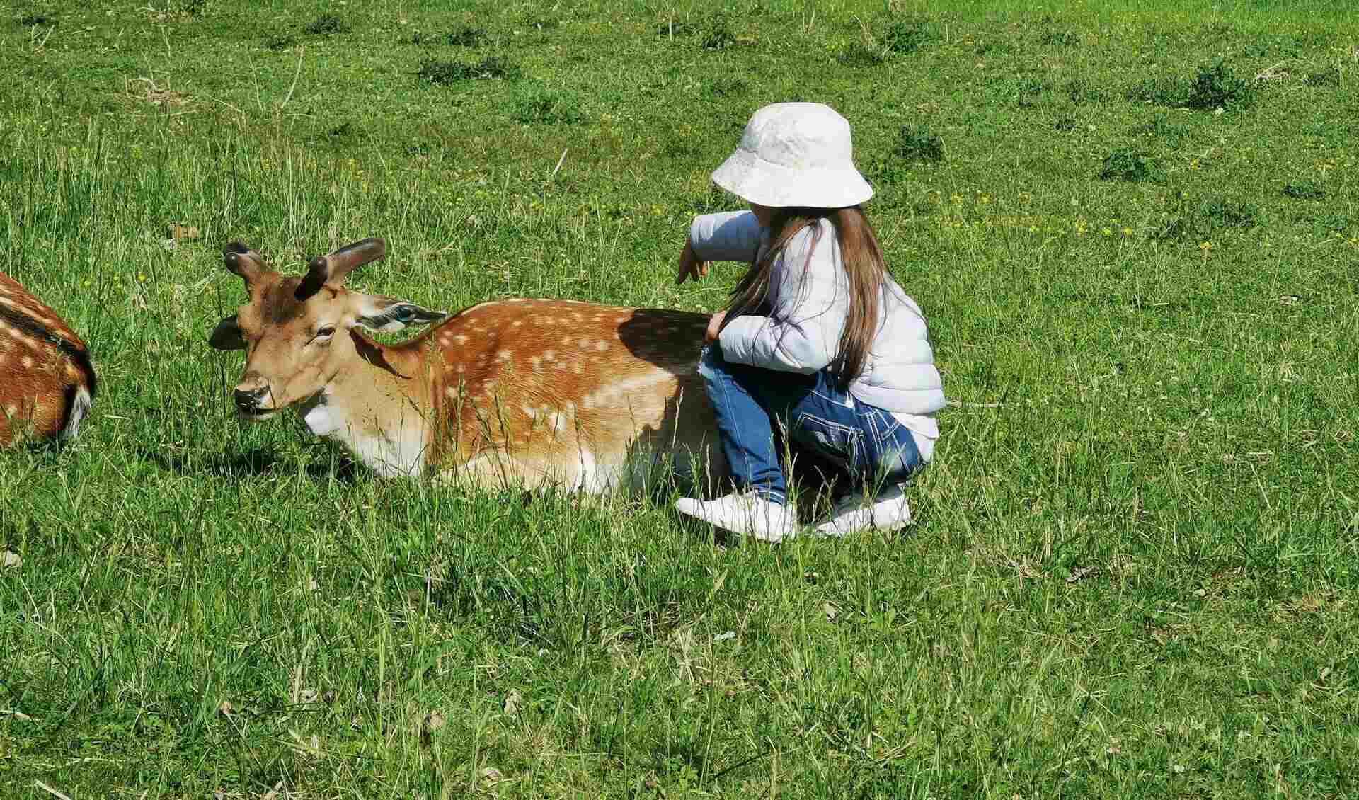 Obora Holedna