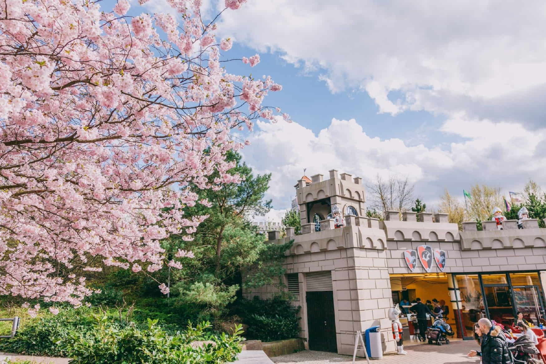 Playmobil FunPark photo 1