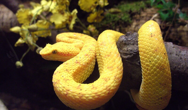 Reptilienhaus Oberammergau