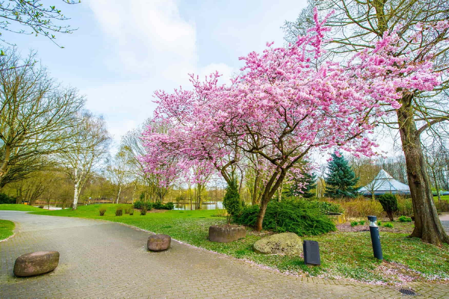 Revierpark Wischlingen photo 1