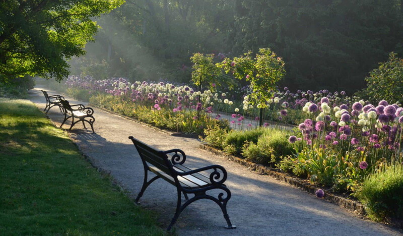 Rombergpark Botanical Garden