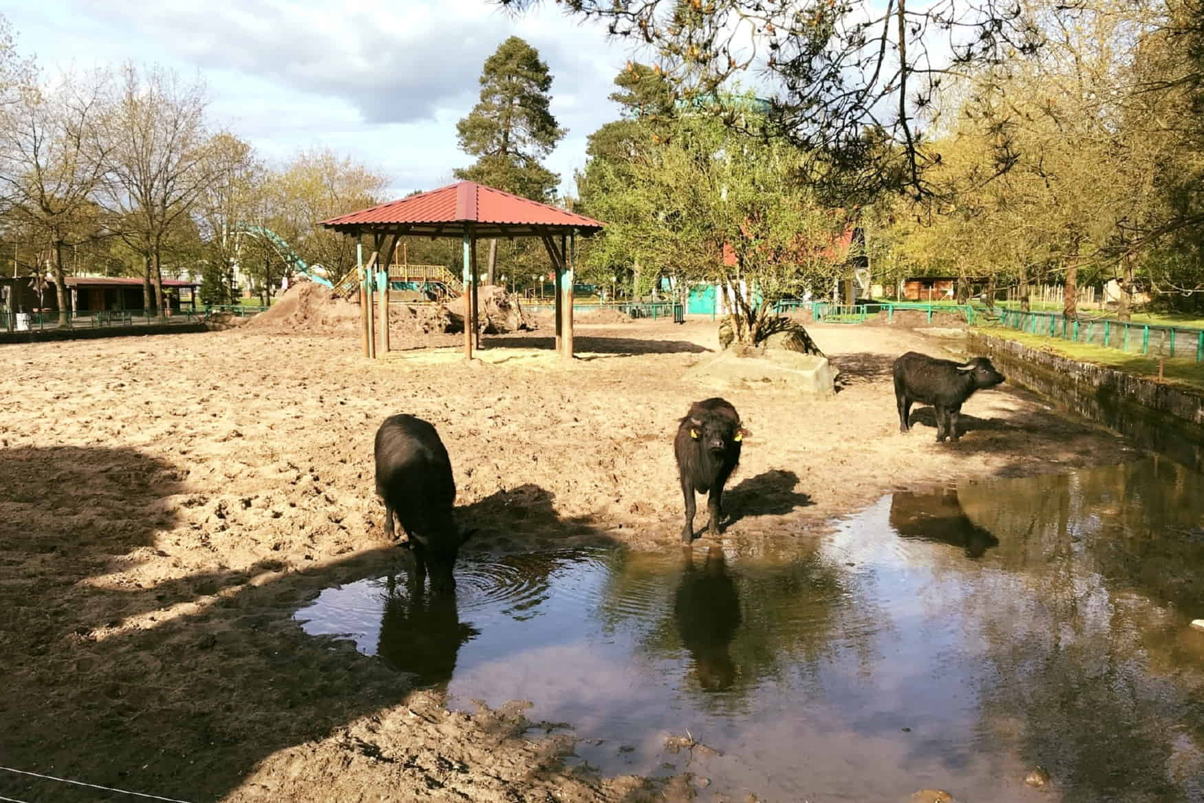 Safari Land Stukenbrock photo 1