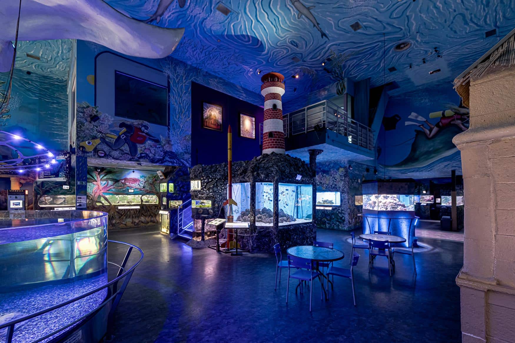 The World of Jellyfish фото 1