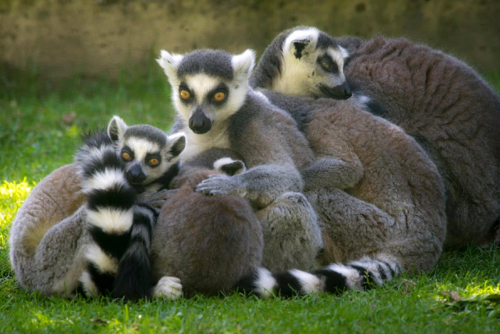 Tierpark Irgenoed photo 1