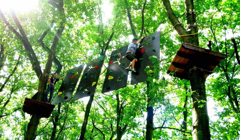 Tree2Tree Climbing Park
