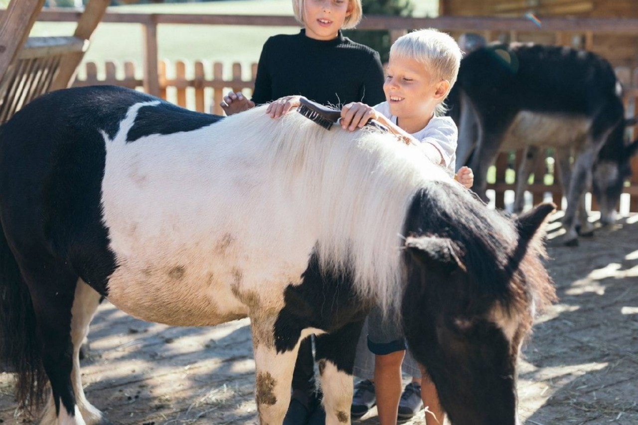 Unterschwarzachhof Mini Farm photo 1