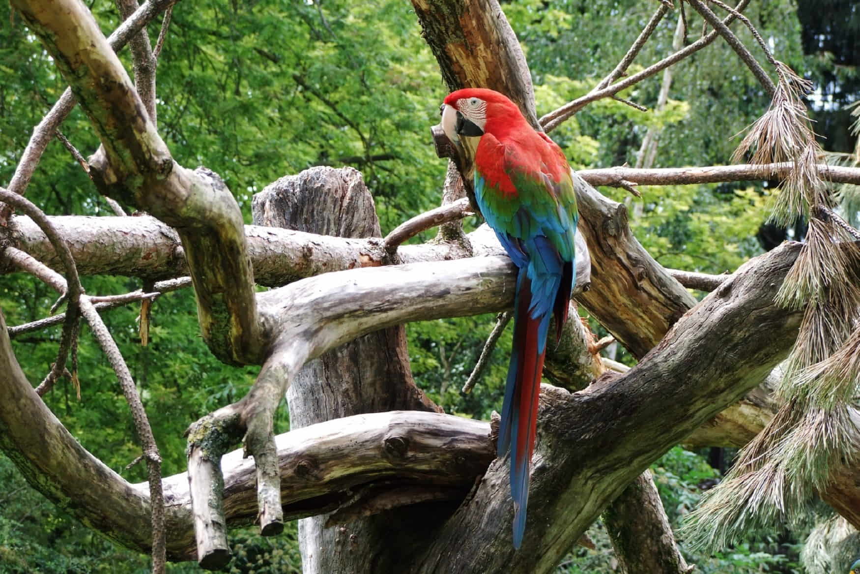 Vogelpark Maria Veen photo 1