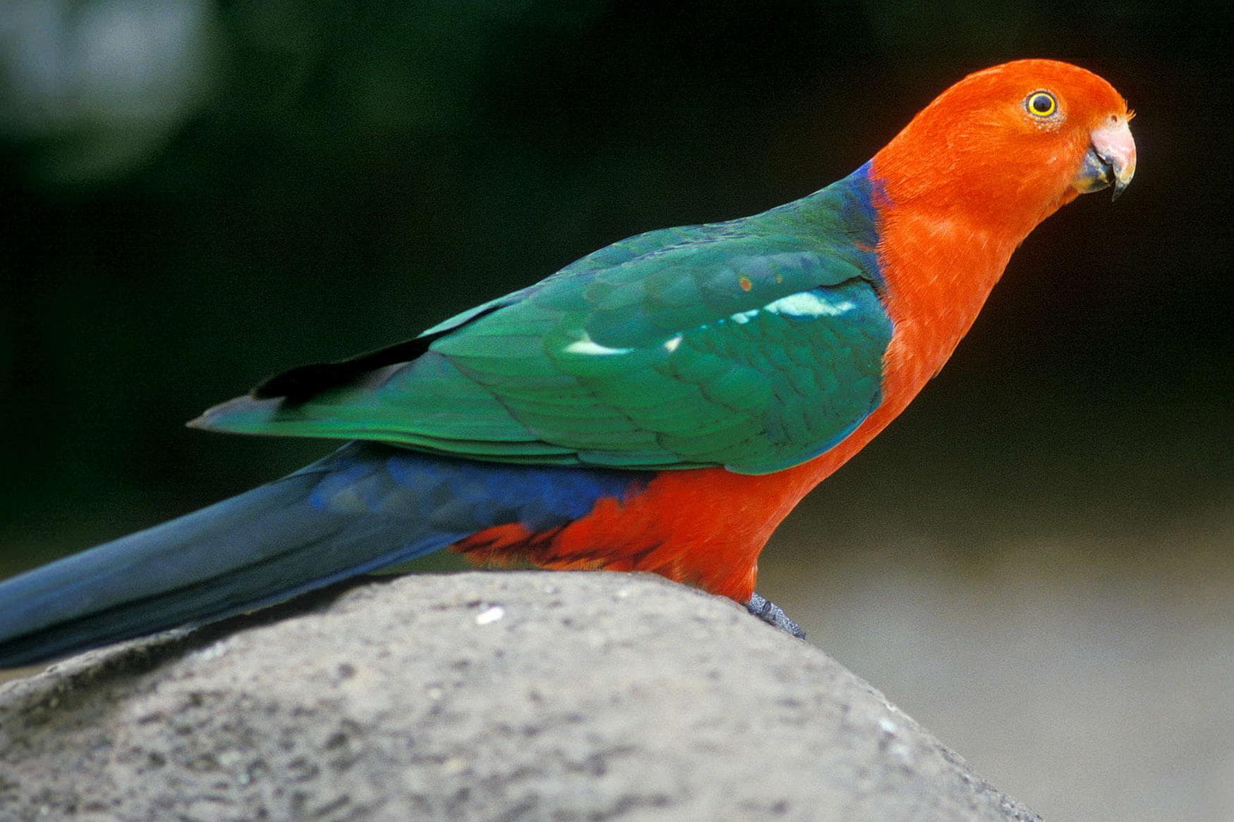 Vogelpark Turnersee photo 1