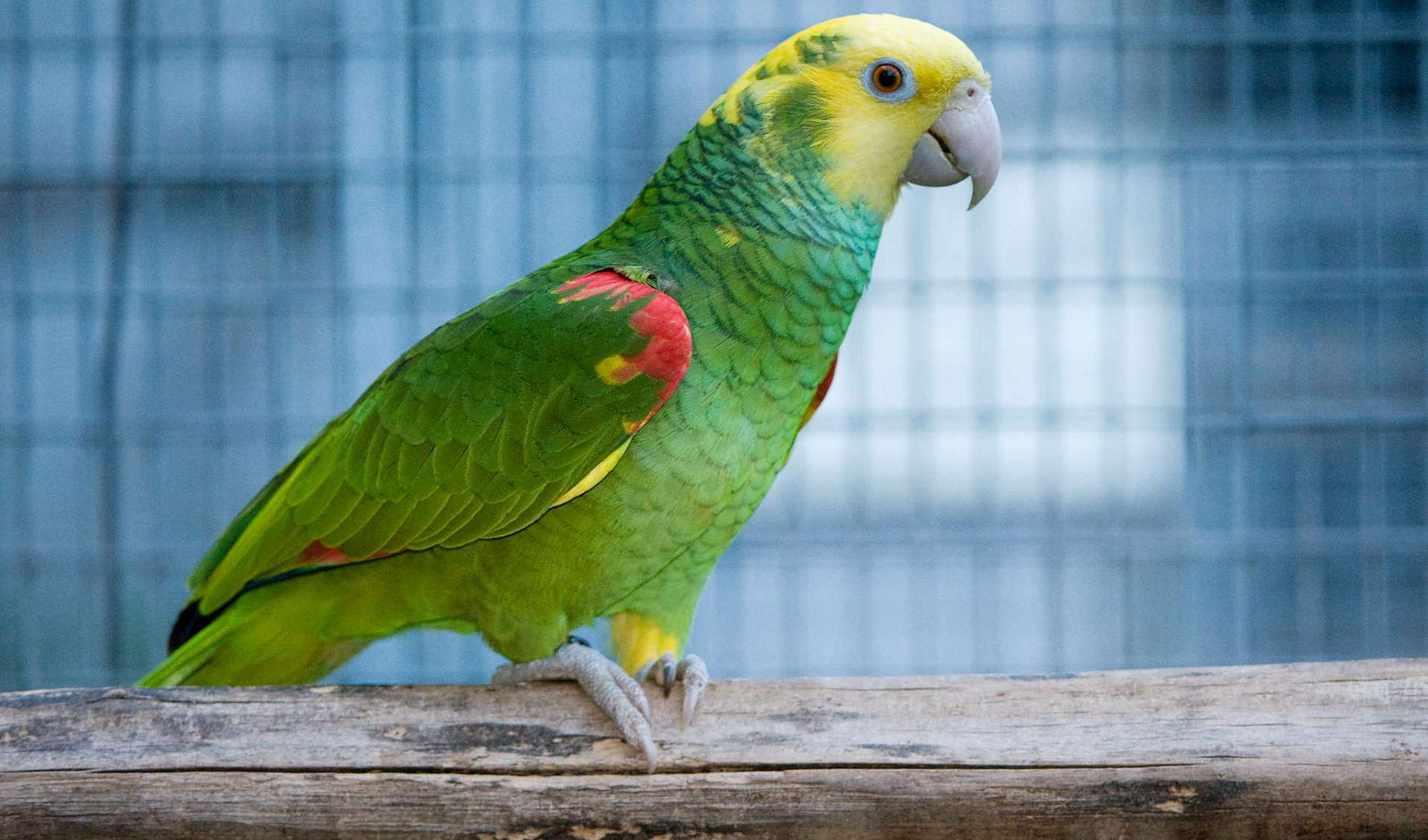 Vogelpark Turnersee