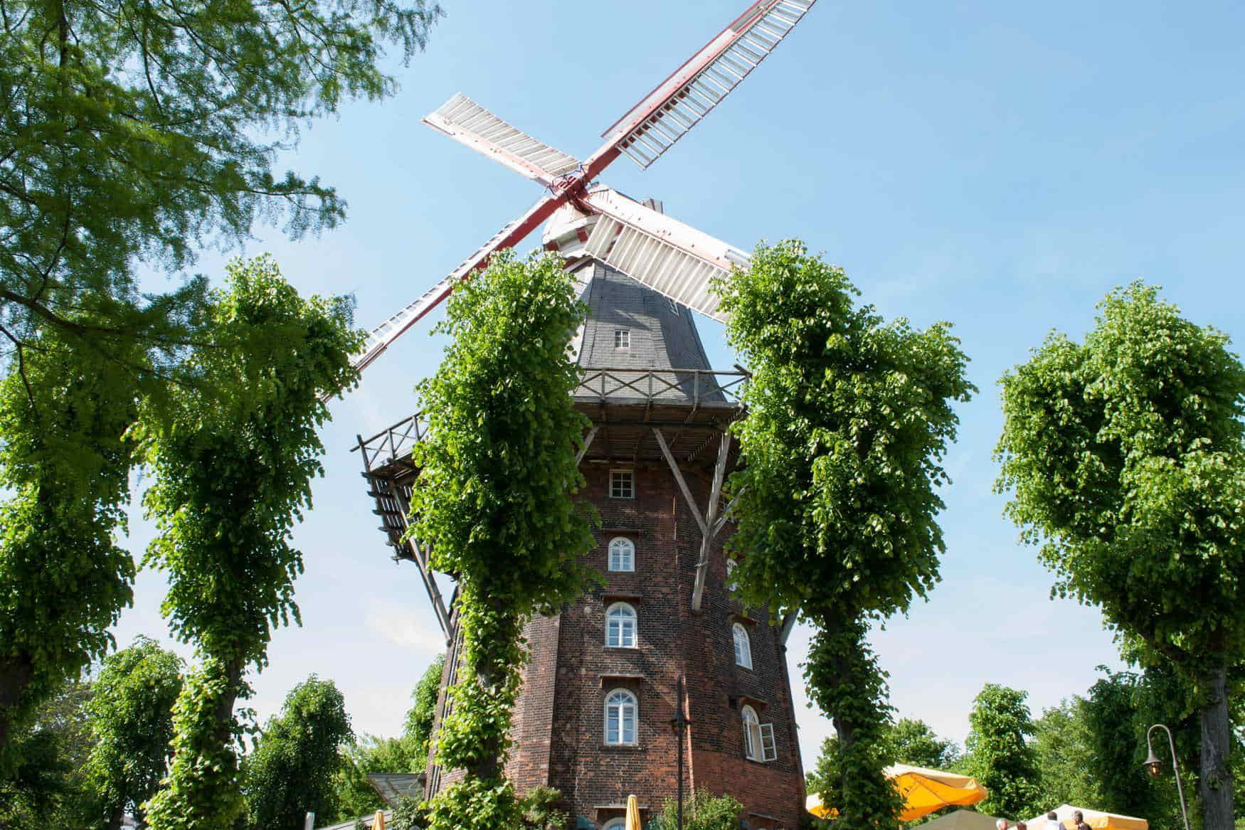 Wallanlagen Park photo 1