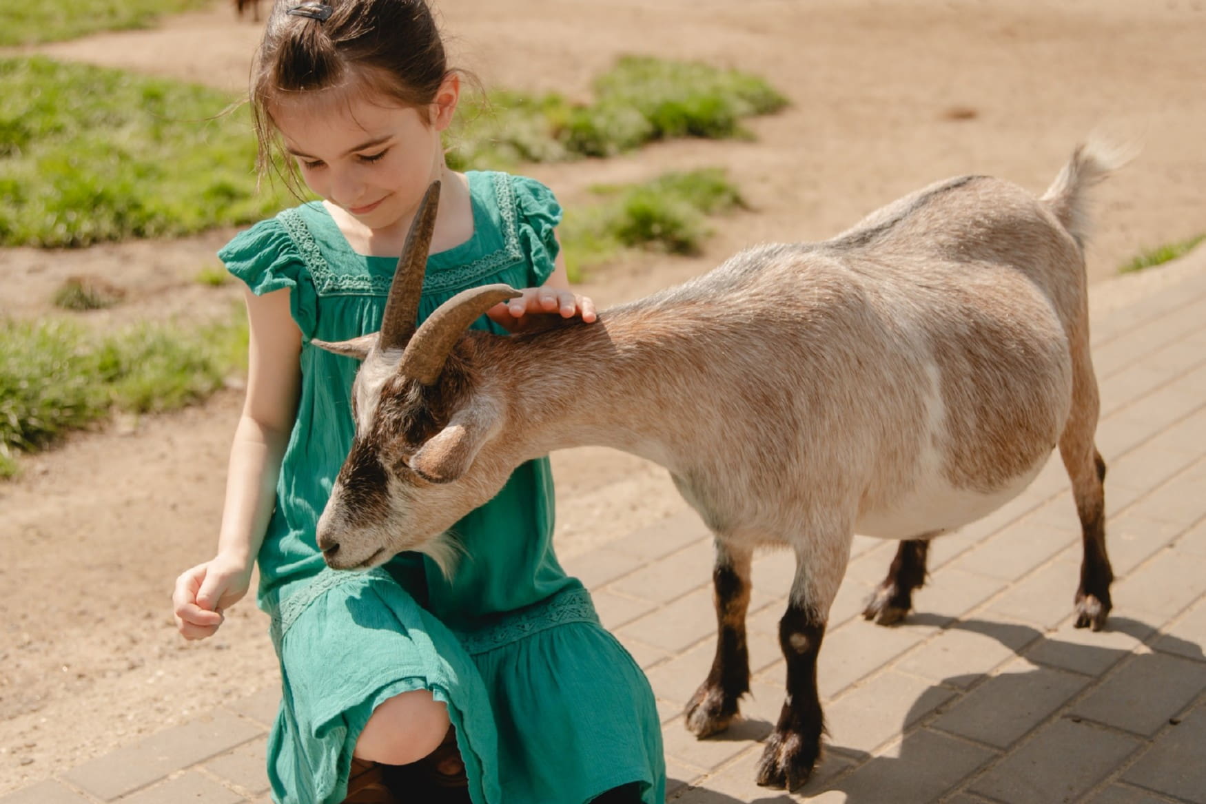 Wildpark Frankenhof photo 1