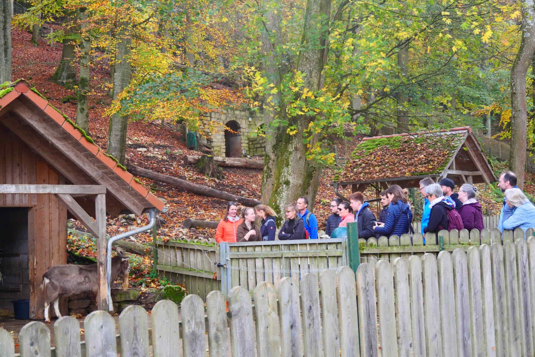 Wildpark Hundshaupten photo 1
