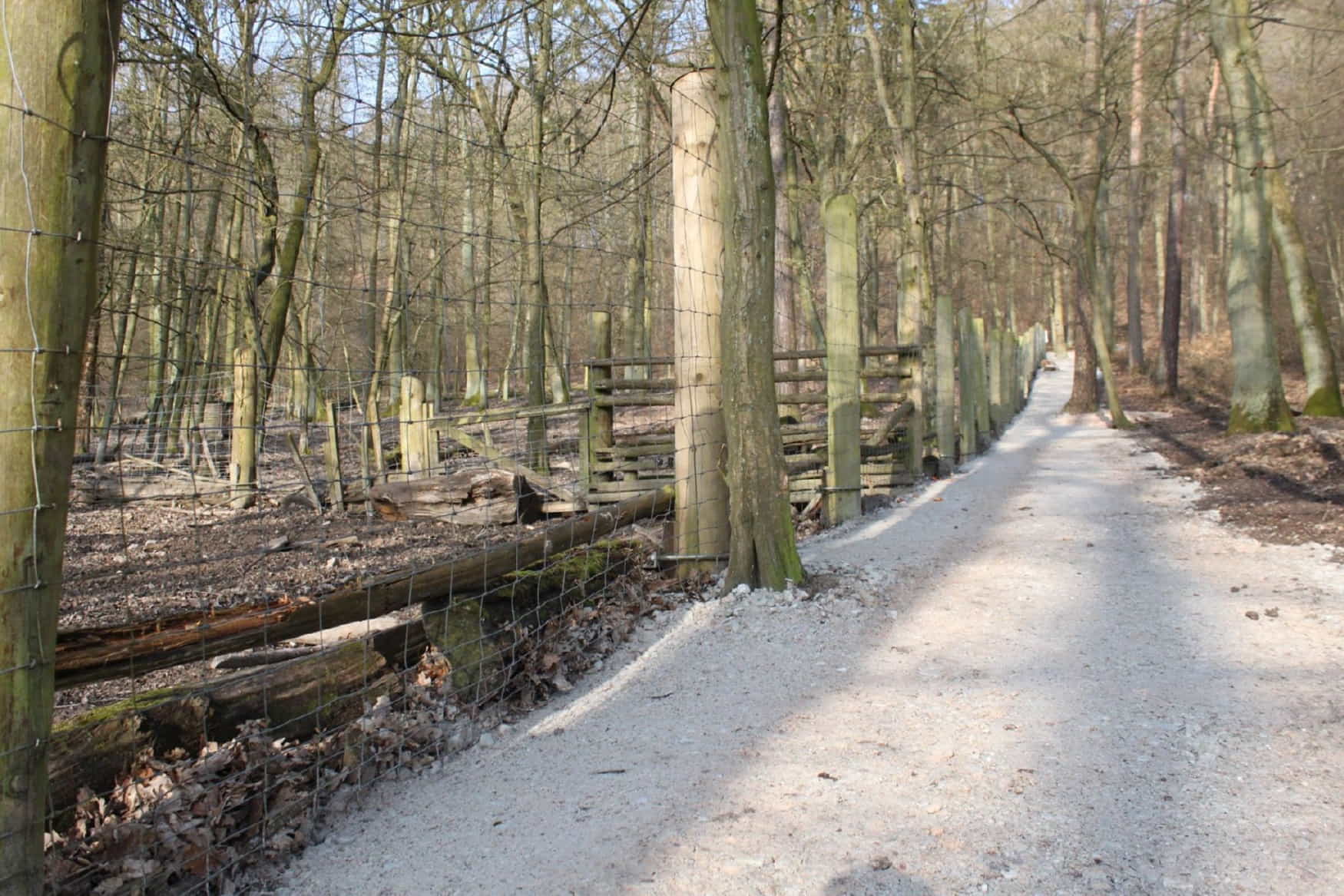 Wildpark Retter Hofheim photo 1