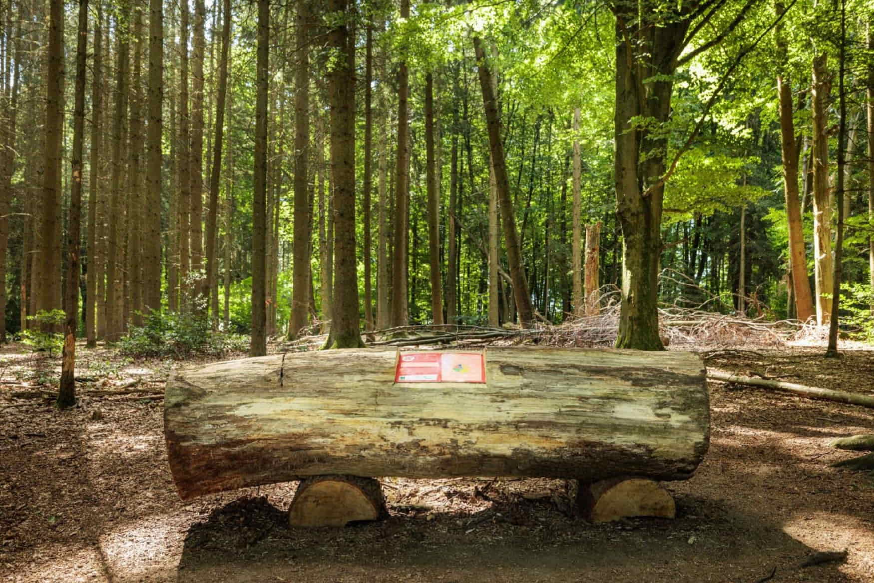 Wildpark Wiehl photo 1