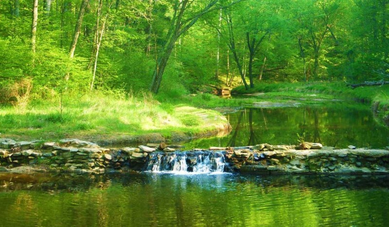 William B. Umstead State Park