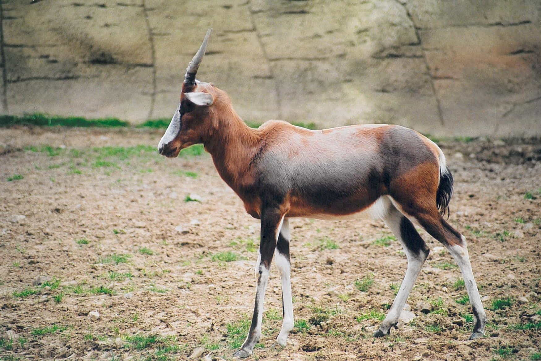 Zoo Dvur Kralove photo 1