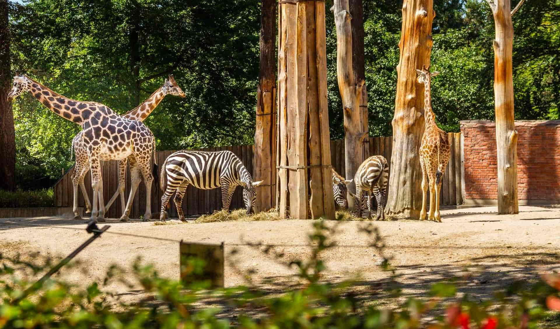 Zoo Liberec