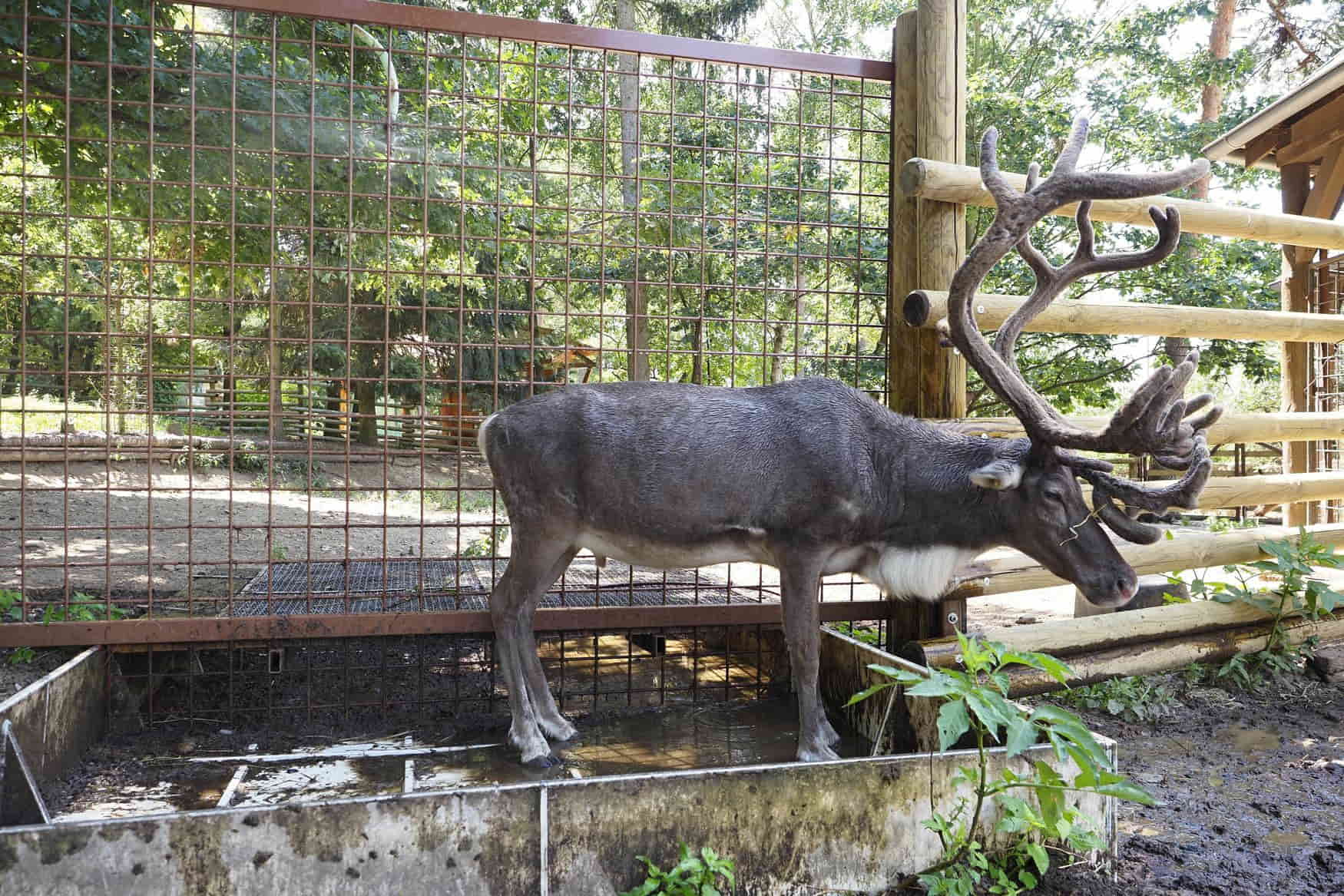 Zoo Olomouc фото 1