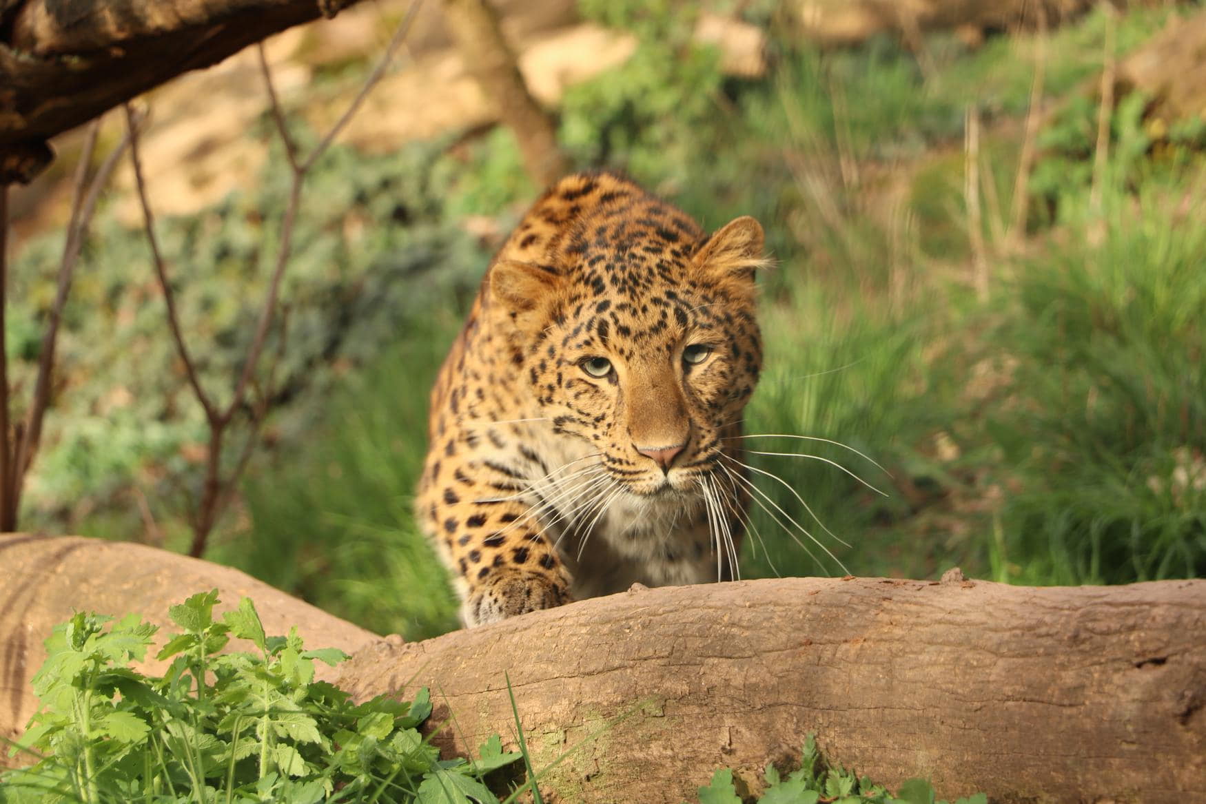 Zoo Plzen фото 1