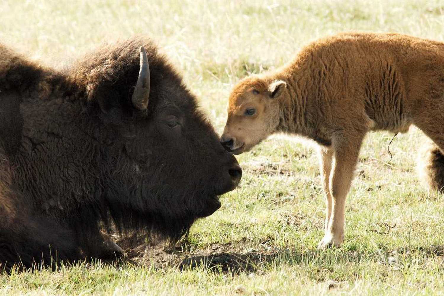 Zootastic Park photo 1