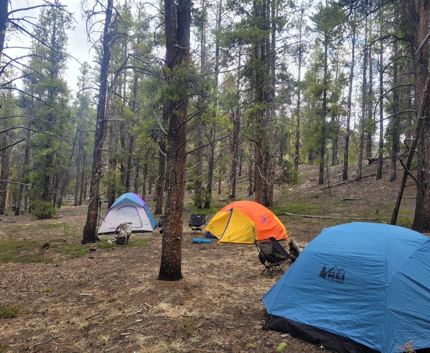 Colorado Mountain Ranch фото 1