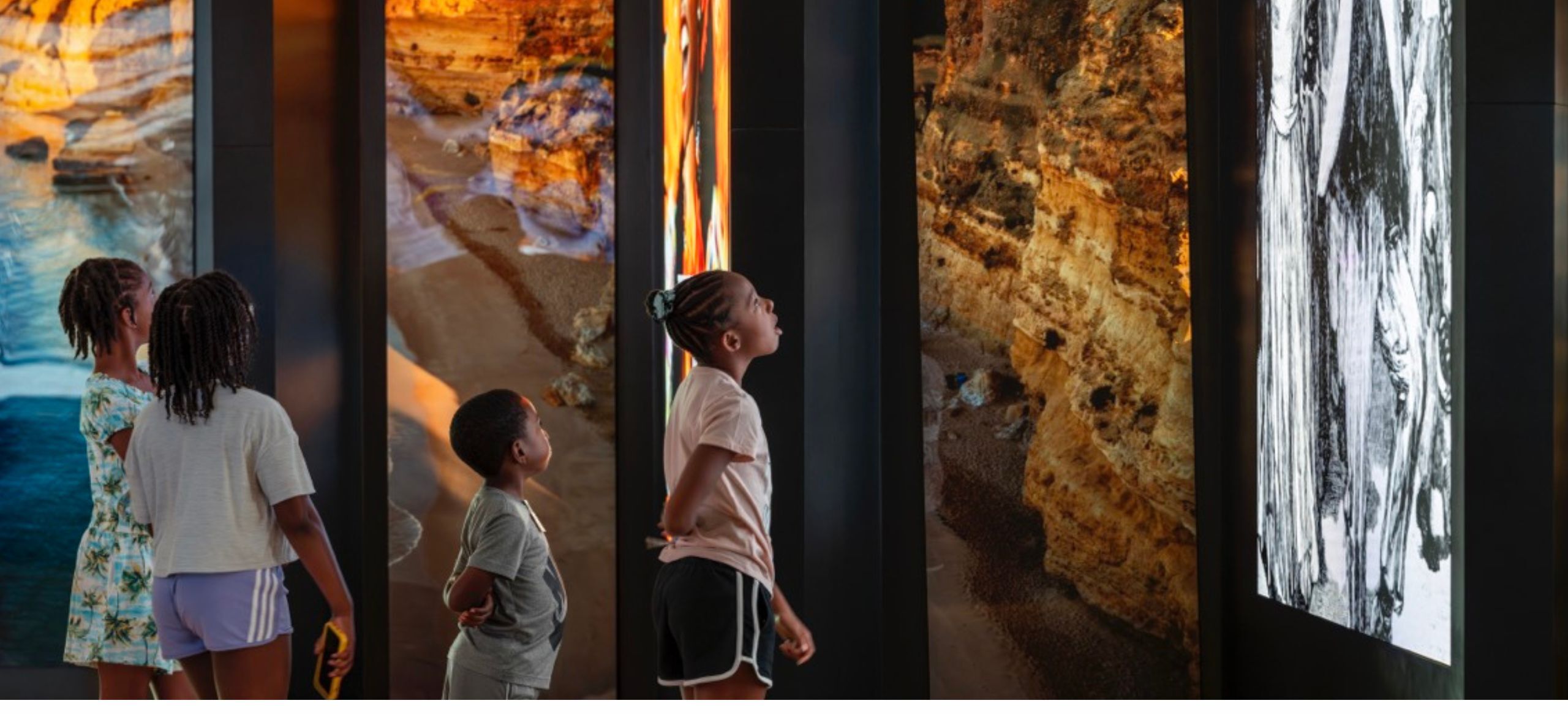 African American History Summer Camp